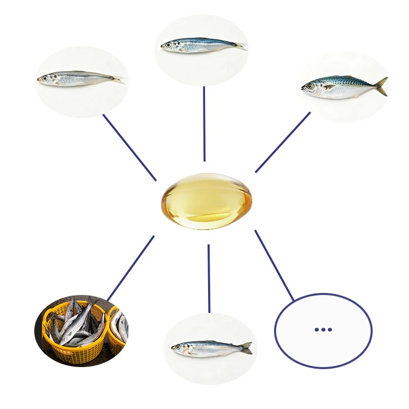 fish oil source fish oil source