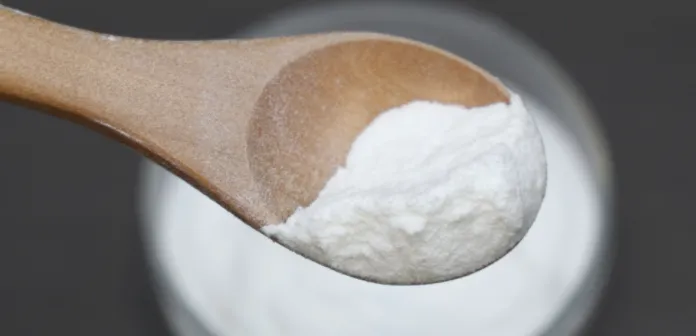 salmon pdrn powder salmon pdrn powder